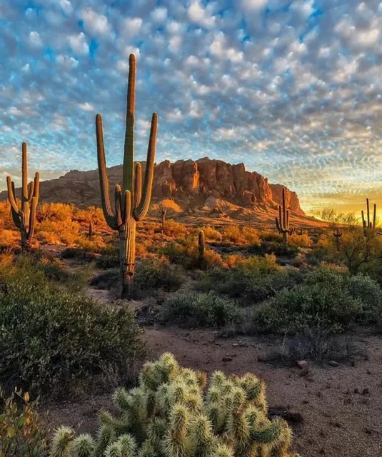  3-Day Itinerary: Explore the Red Rock Wonderland!