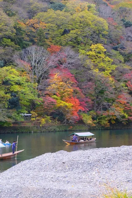 Kyoto Private Tour in One Day | Arashiyama x Sanzen'in Autumn Leaves 