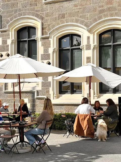 🇳🇿 CHRISTCHURCH | The Garden City You Can't Miss! 🌸✨