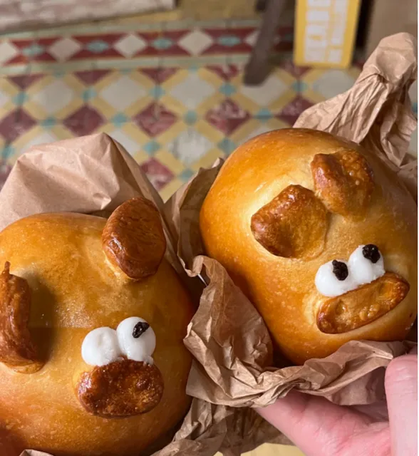 🇪🇸 Parma! This little pig is so cute!!