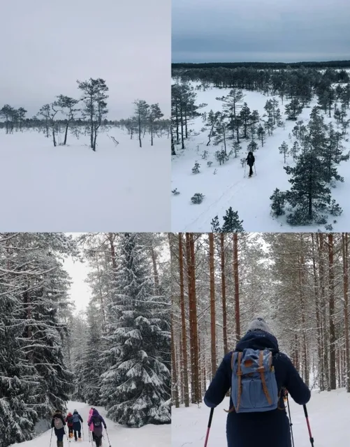 The Ultimate 3-Day Tallinn Itinerary: Where to Play, Stay & Explore