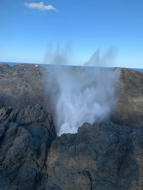 Canberra & Kangaroo Beach | 3-Day & 2-Night Trip 🦘