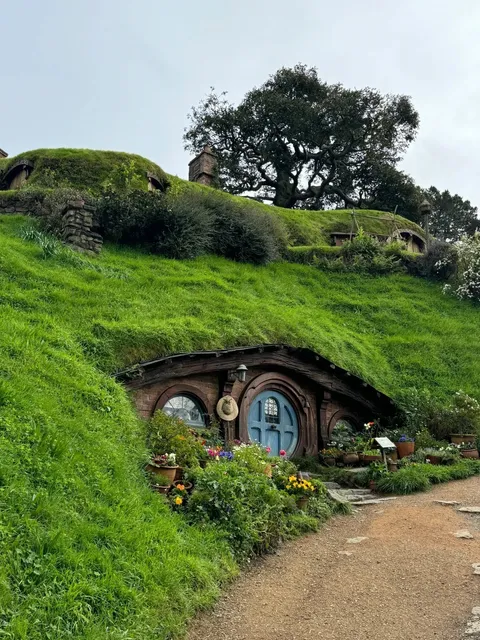  Be a Hobbit for a Day in New Zealand 🇳🇿  