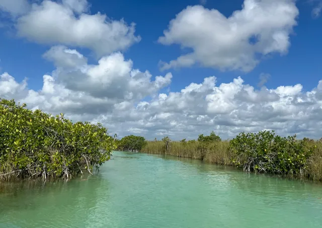 Sian Ka’an Biosphere Reserve: A Pristine Wilderness Adventure 🌿🐊