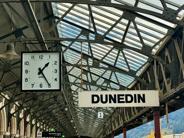 Dunedin Love Letter 💌✨ | Why This City Stole My Heart (Again!)