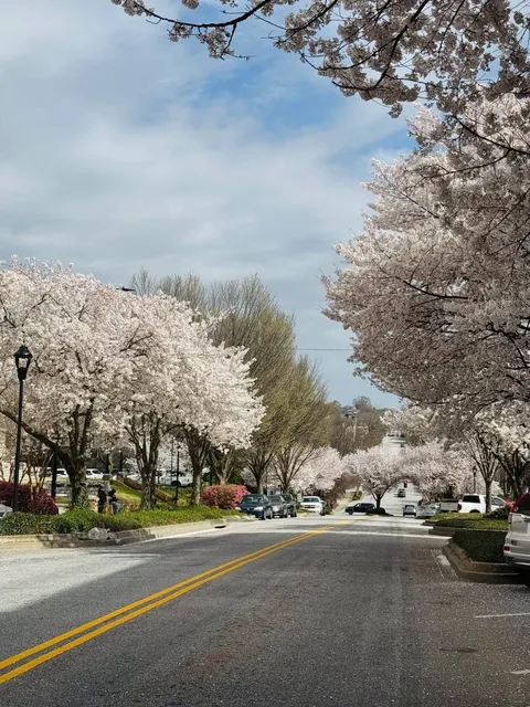 Don’t Forget to Visit Greenville After Watching