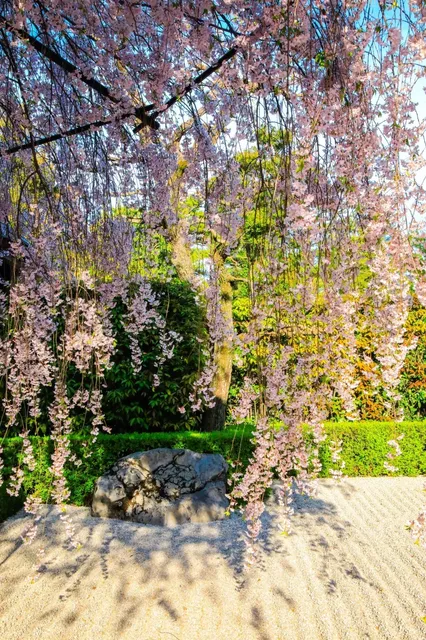 photo-2
