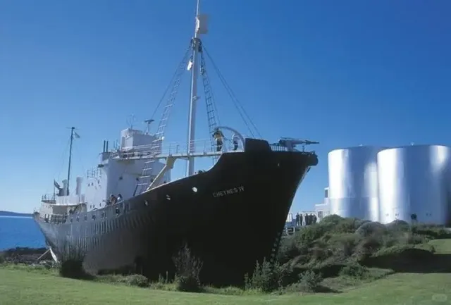 Albany A Touch of Breathtaking Beauty 🍃