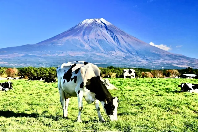 Mount Fuji 🗻 Shizuoka Side Summit 🏔️