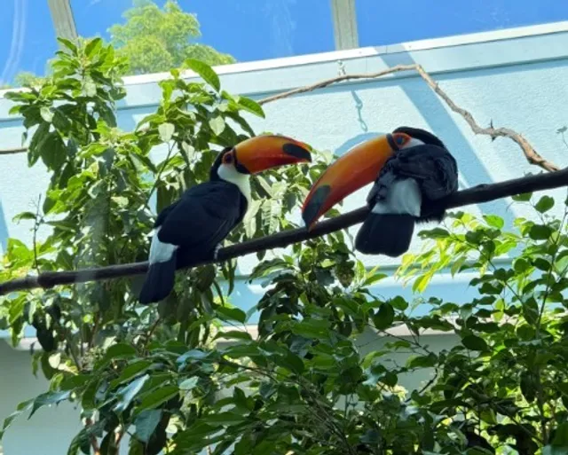 National Aviary 🦜🇺🇸 | A Sky-High Adventure in Pittsburgh!
