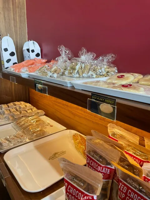  San Antonio｜85°C Bakery – Today’s Visit 🥖🍰