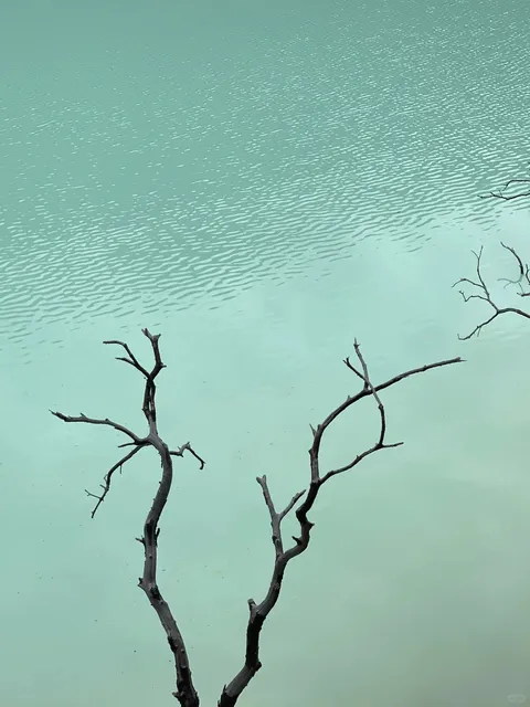 🇮🇩 Jakarta - Bandung | A Journey Through West Java