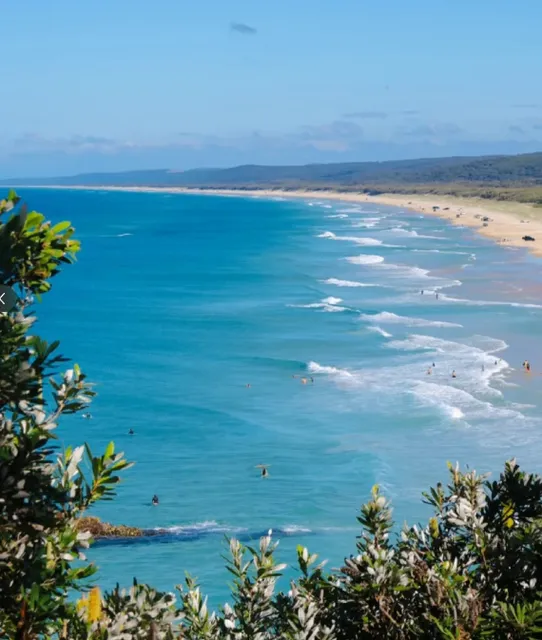 These are the four seasons in Brisbane 🎋​