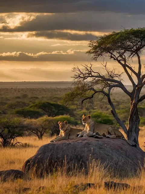 Slow Down to See the Splendor of Africa