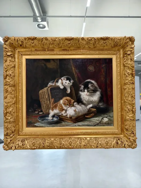 🇳🇱 Rotterdam Day Trip Adventure - D300