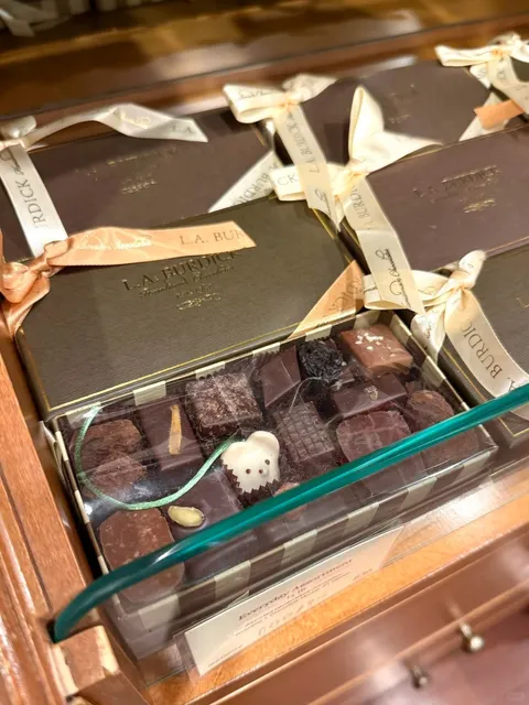 New York Mice Can Be This Cute 🐭