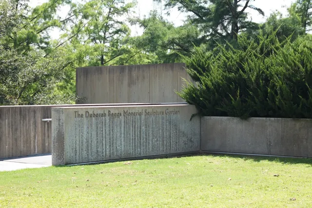 🖼️ Solo Stroll | Fort Worth Modern Art Museum