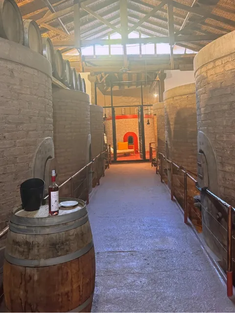 🇦🇷 3-Day Mendoza Itinerary: Wine, Peaks & Hot Springs! 🍷🏔️💦