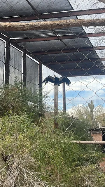 🌵Arizona | Phoenix & Tucson Travel Guide 🌆🌵