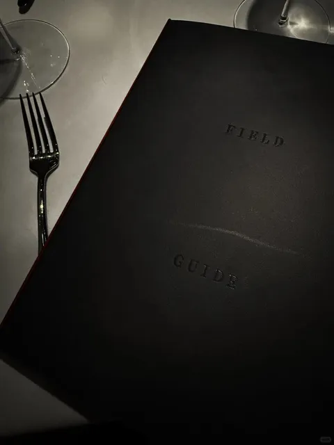 Field Guide in Williamsburg 🌟