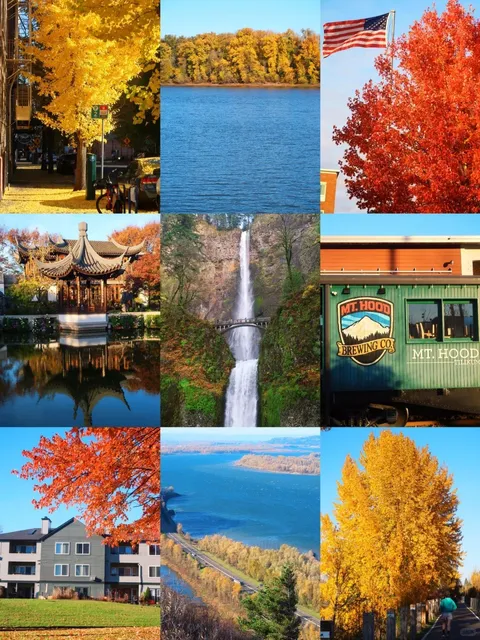 USA 🇺🇸 | Portland Travel Guide