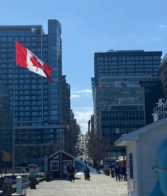  Halifax Downtown Weekend: A City That Wakes Up When You Do  