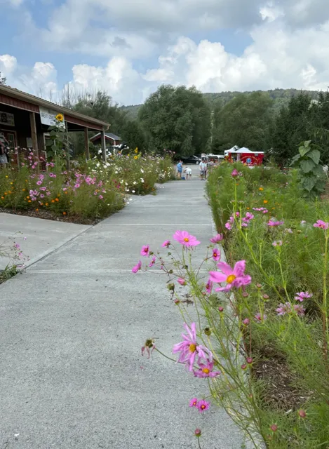 🌾 Great Country Farms | Virginia’s Ultimate Family Fun Destination! 