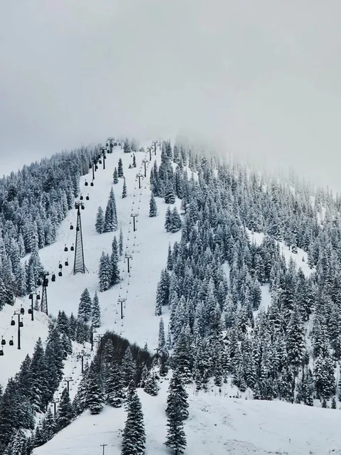 ✨ Why Aspen is North America’s Ultimate Ski Destination