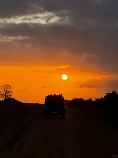 Exploring the Wildlife Reserves Near Cape Town