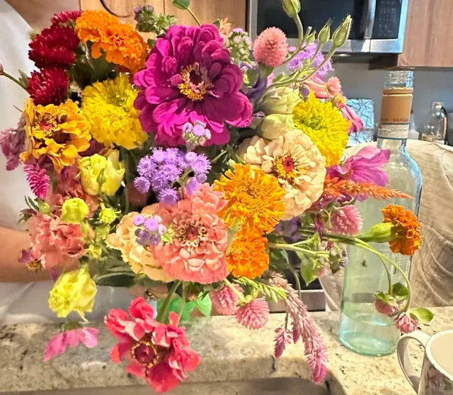 🇺🇸 Washington DC Summer Nights – Bright Lights & Mixed Feelings 💡🌆