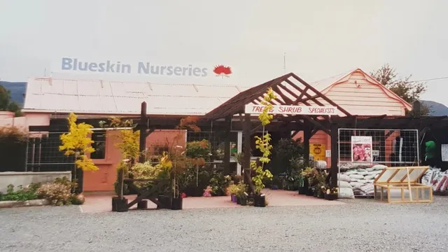 🇳🇿 Waitati | Dunedin's "Utopian Village"