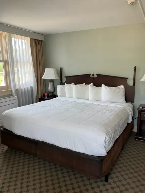 Elegant, Comfortable & Immaculate ✨🏡💫