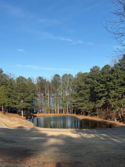 Lake Lanier Lakeside Walk 🌊🌳 | North Atlanta Hidden Gem