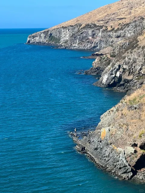 Hiking Guide｜Christchurch’s #1 Coastal Cliff Walk (Live) 🇳🇿
