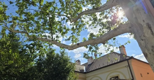 Zagreb in One Day: The Perfect Itinerary