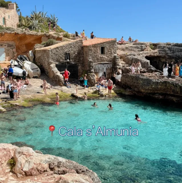 See the best jellyfish in Mallorca, Palma (with a guide)