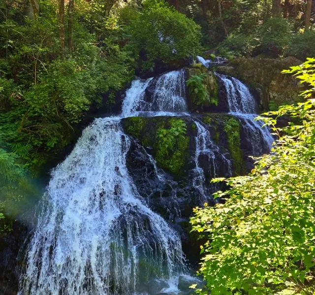 Where to Go This Weekend? Vancouver's Perfect Hiking Alternative! 🌲🚶
