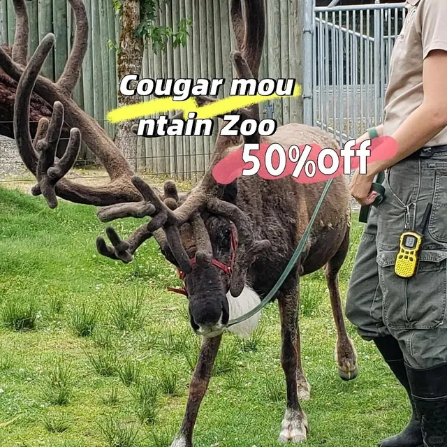 ​​Ultimate Seattle Zoo Hack: Where You Can Actually Feed the Animals 