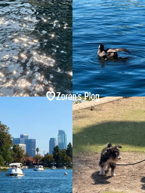 Plog. / People Should Live Where There Are No Ceilings 🦢✨