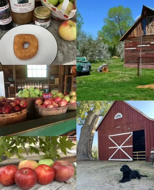 Boulder Autumn Farm Picking Guide 🍂