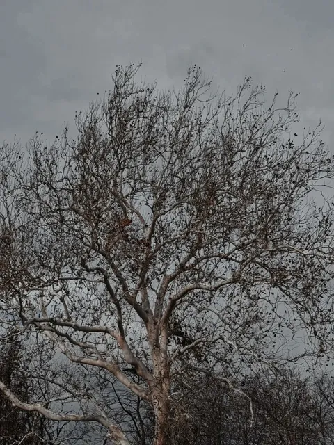 A Day Trip to Escape NYC 🌄 | Beacon, NY