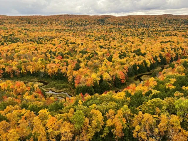 Chasing Autumn in Northern Michigan 🍂