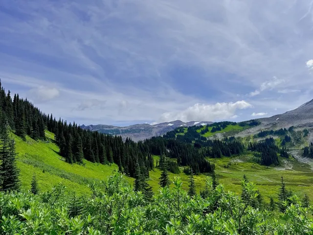 🇨🇦 Vancouver's Ultimate Hiking Spot: Panorama Ridge