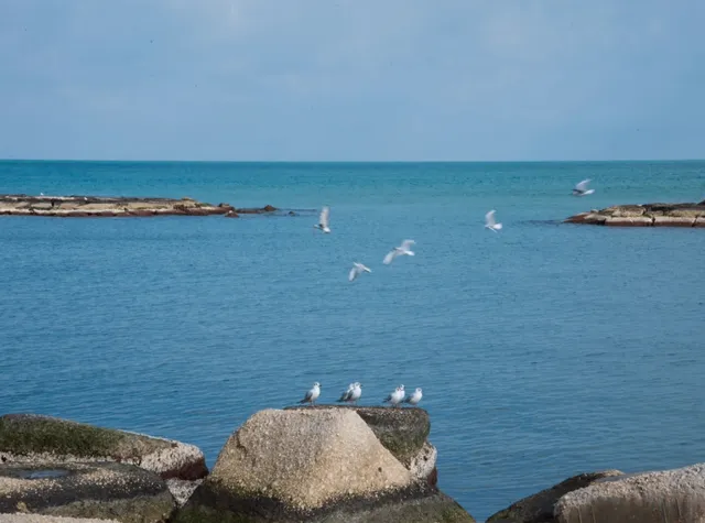 Italy Travel | Bari - An Unmissable Southern Italian City