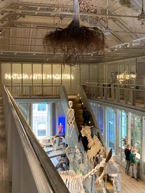 I never thought there would come a day when I would have a favorite mu