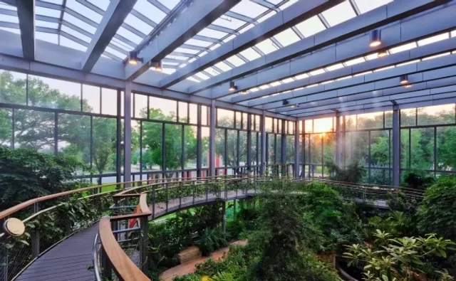 Dallas’s Hidden Gems: Less Developed Treasures