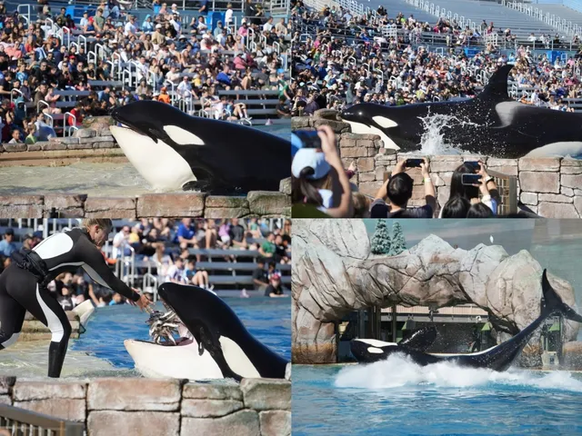  Relax Itinerary in San Diego – A California Student’s Paradise