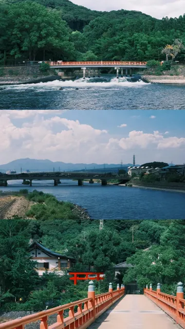 Don't Miss Uji (1) 🌟