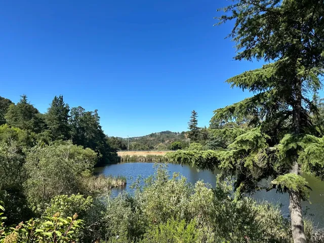 📍LA Sunday Diary｜A Day of Nature & Good Food 🍃  