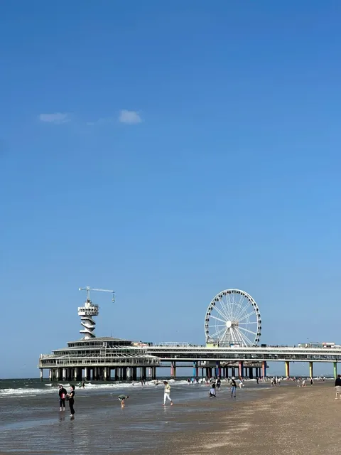 🇳🇱 The Hague in One Day: City Charm & Beach Bliss